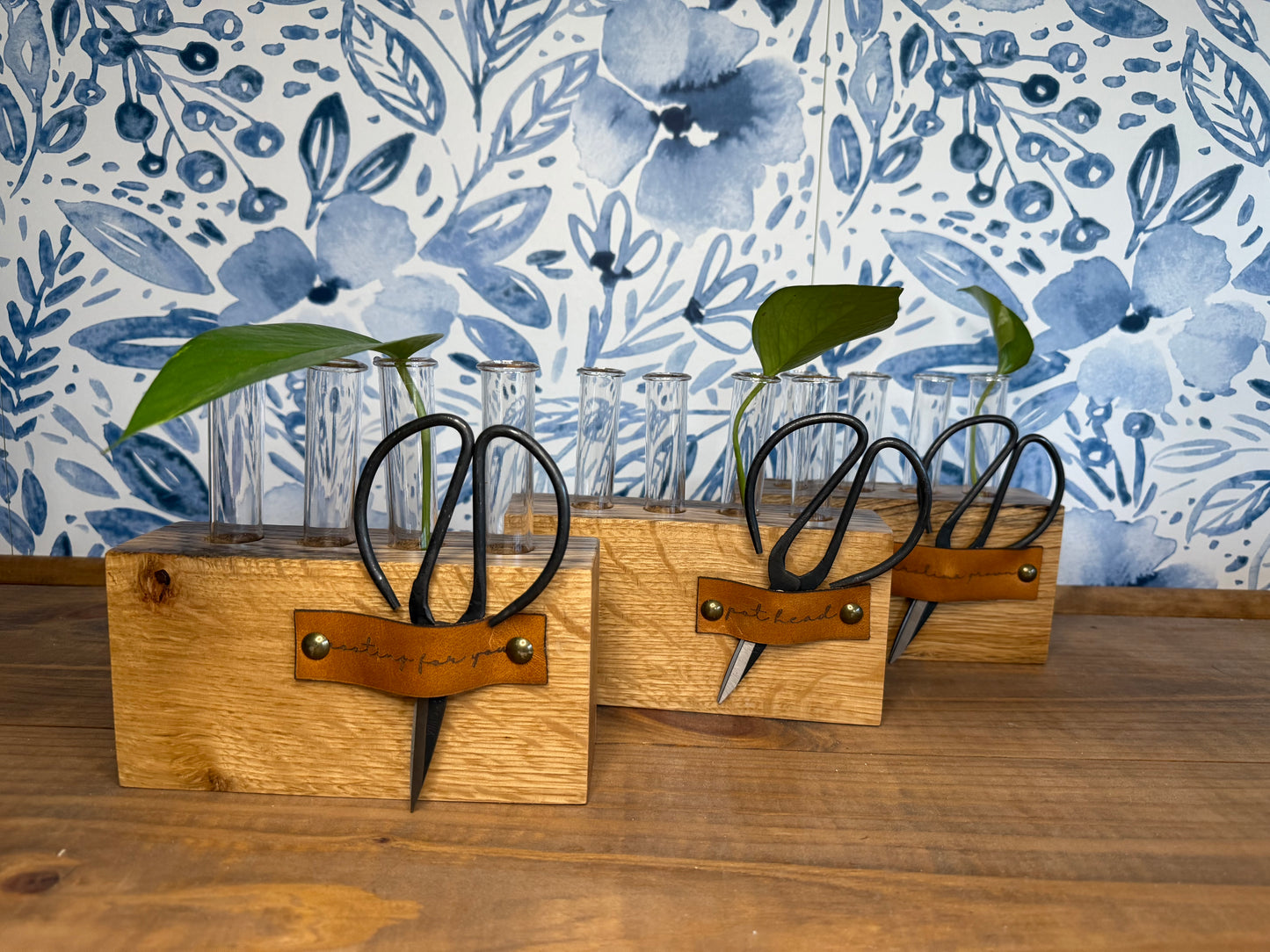 Reclaimed Oak Propagation Station