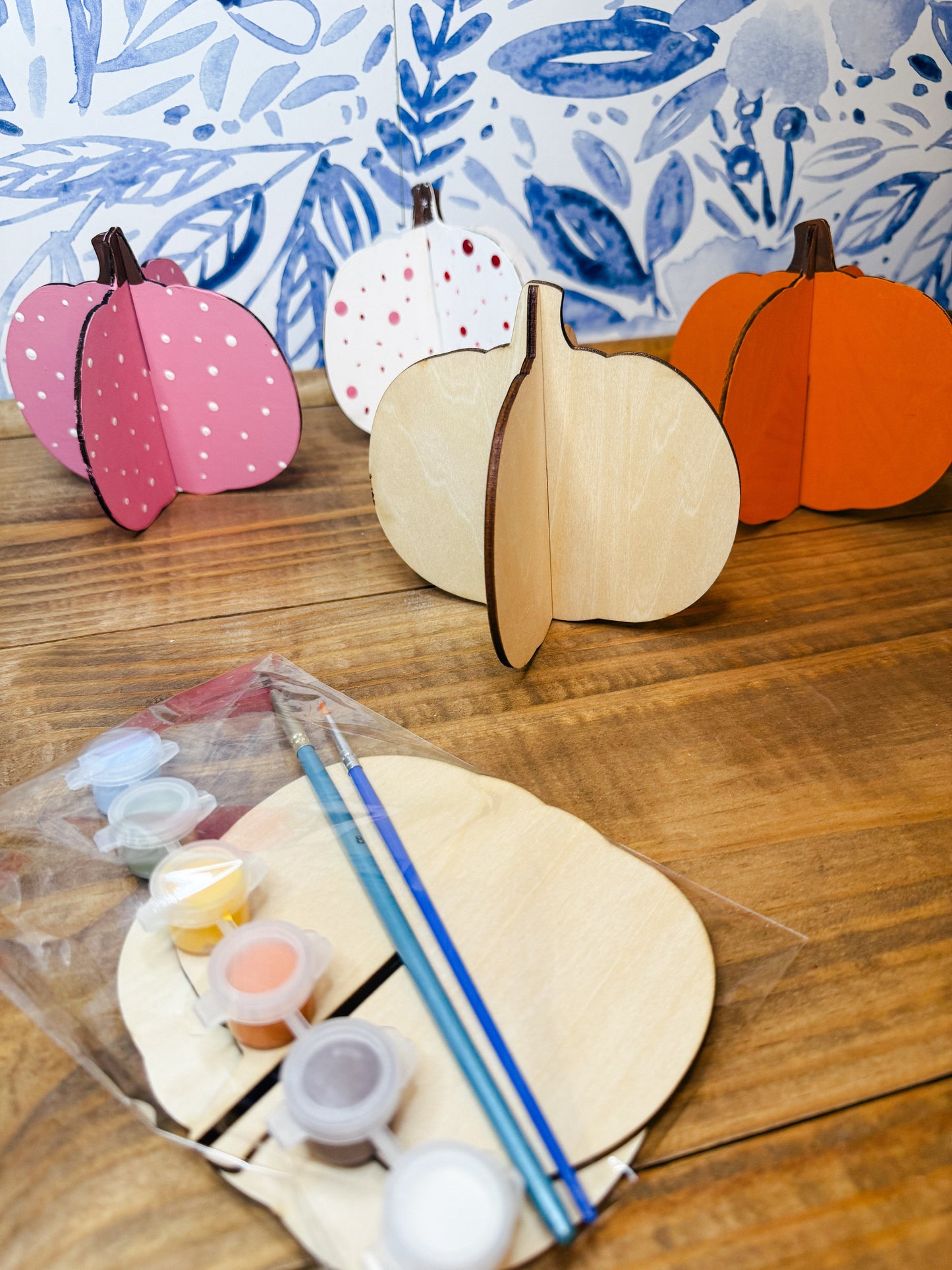 3d Pumpkin Painting Kit