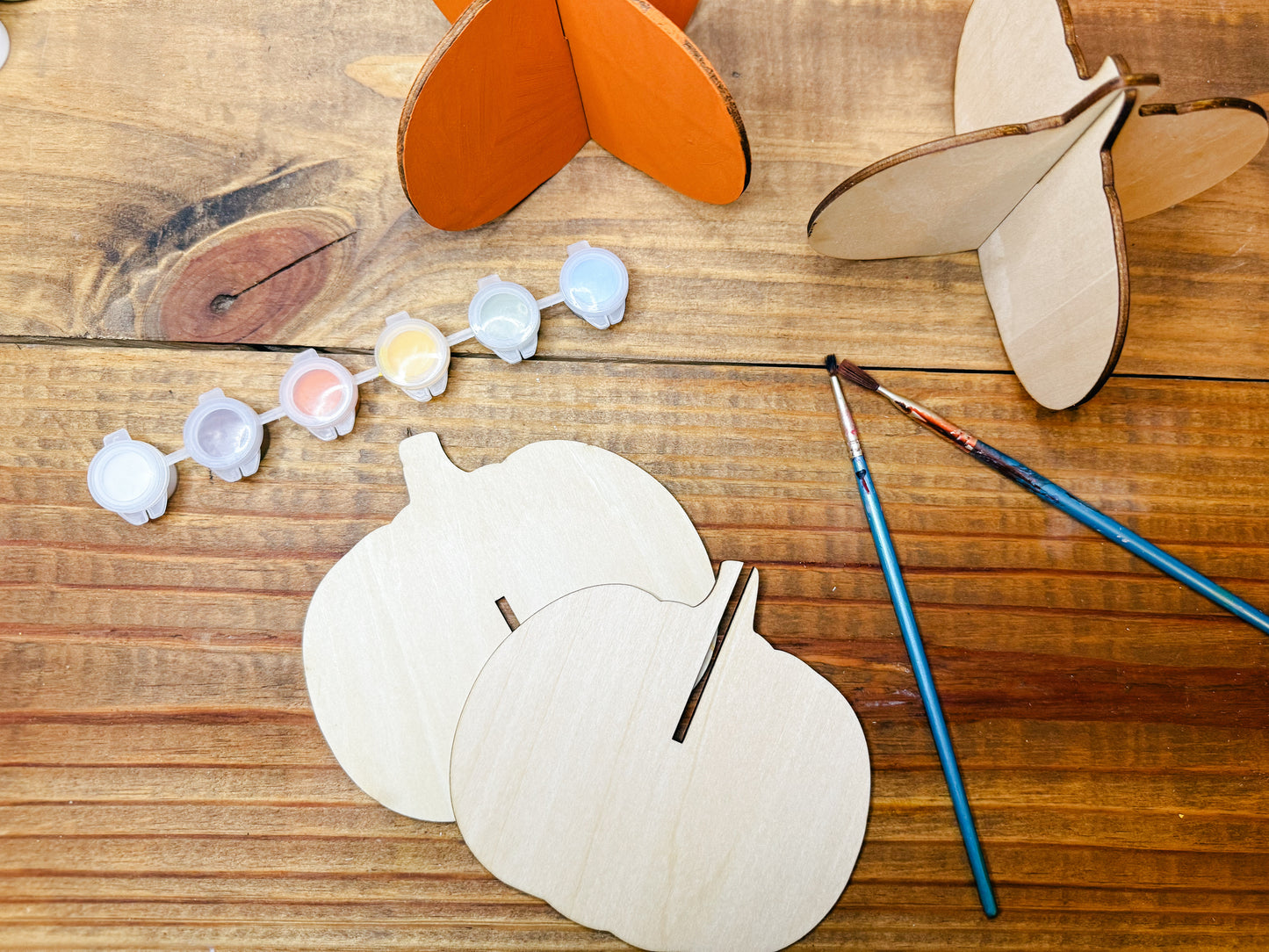 3d Pumpkin Painting Kit