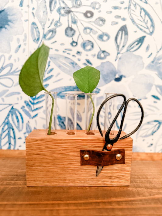 Reclaimed Oak Propagation Station